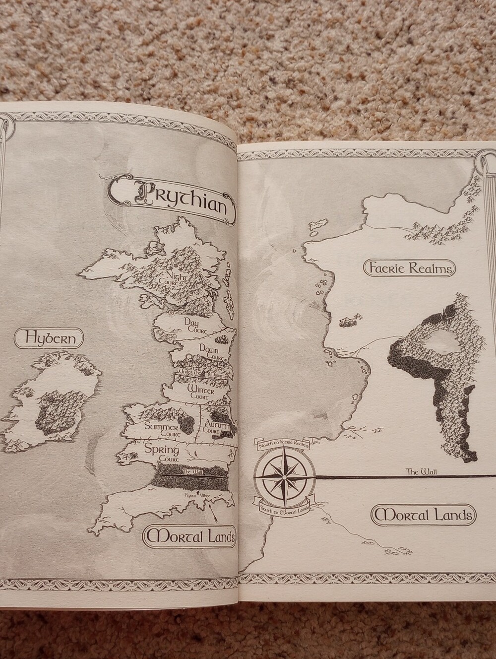 A Court Of Thorns And Roses Sarah J. Maas Book Fantasy Romance - Picture 5 of 12
